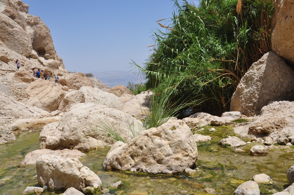 Ein Gedi-Nahal David