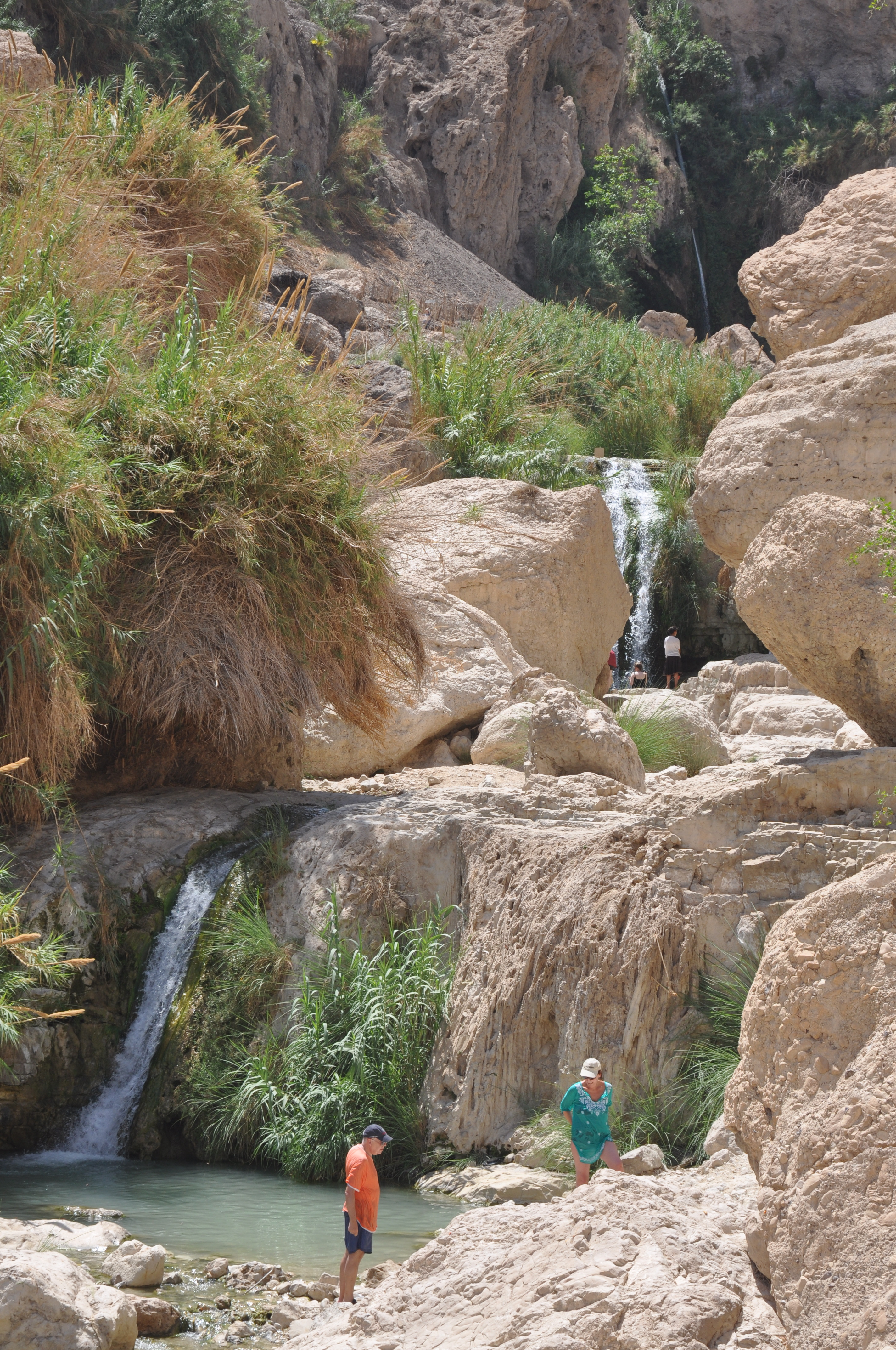 Ein Gedi-waterfalls and pools