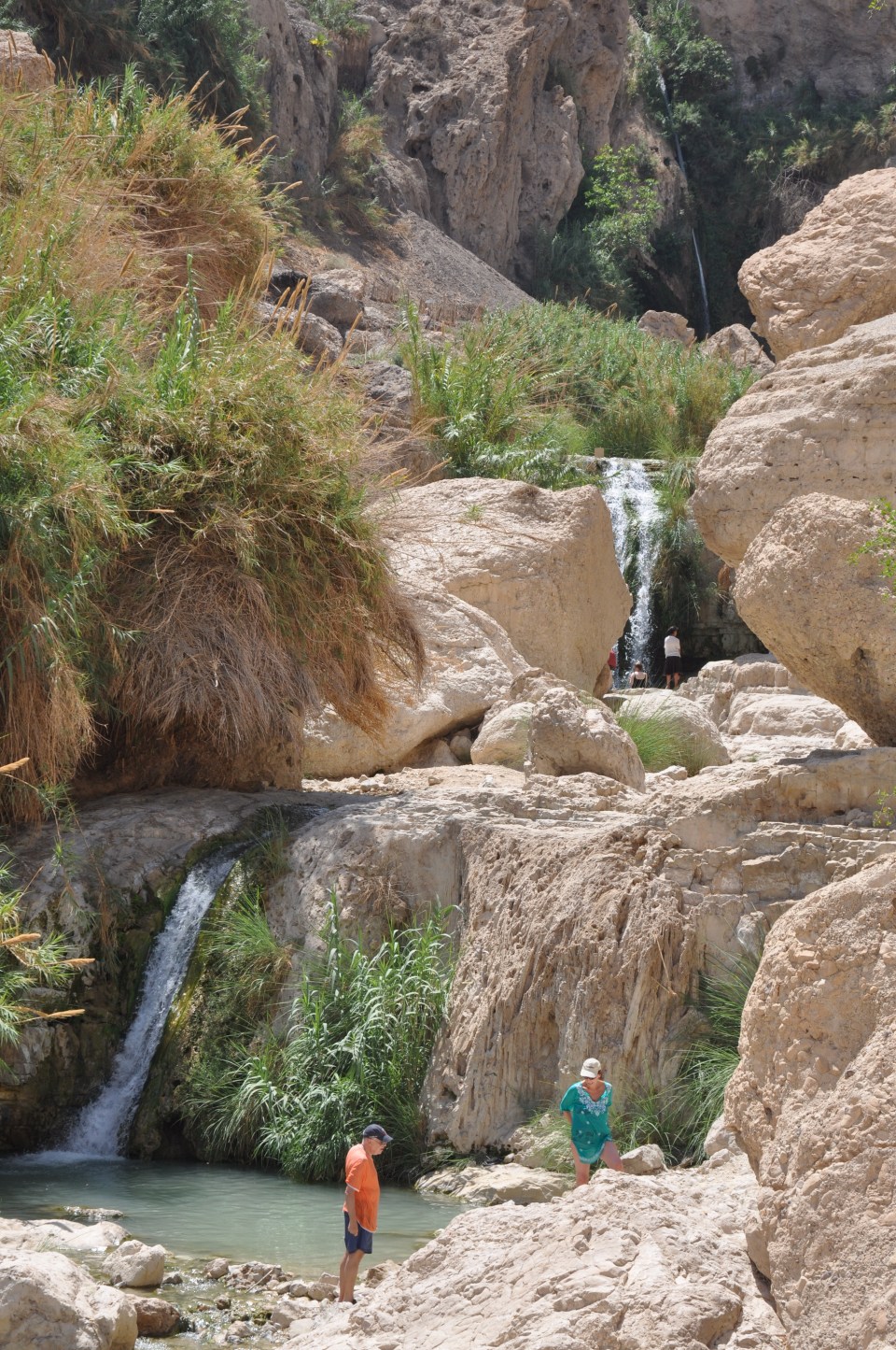 Ein Gedi-waterfalls and pools Ein Gedi-waterfalls and pools