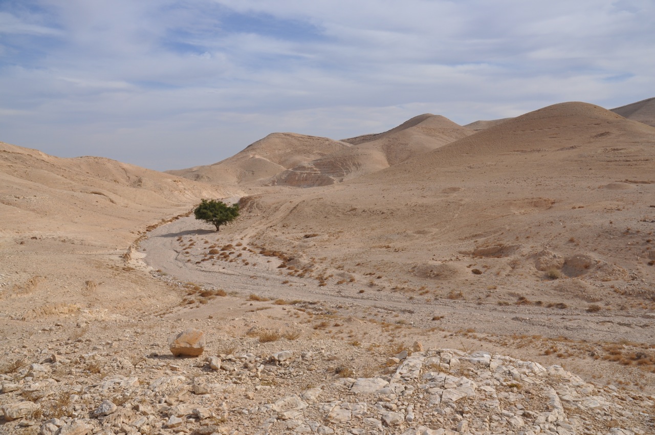 wadi qelt tour
