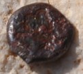 Coin 2