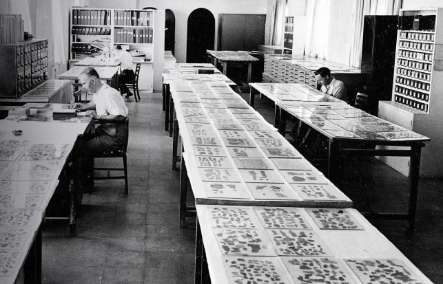 Scrollery room at Rockefeller museum