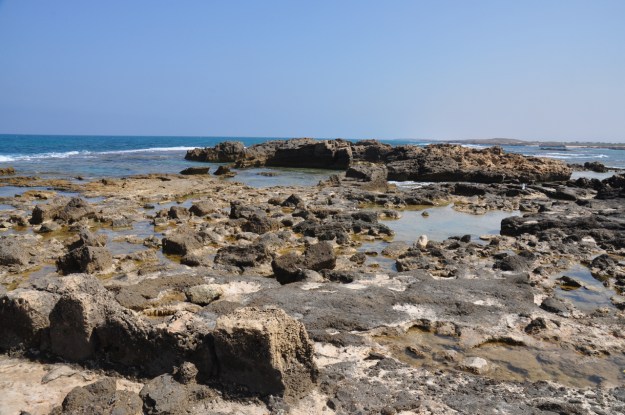 Kurkar/Eolianite rock