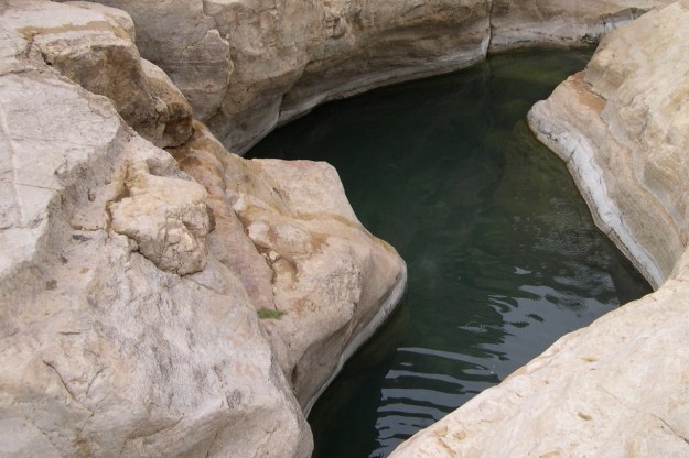 Wadi Qelt pool