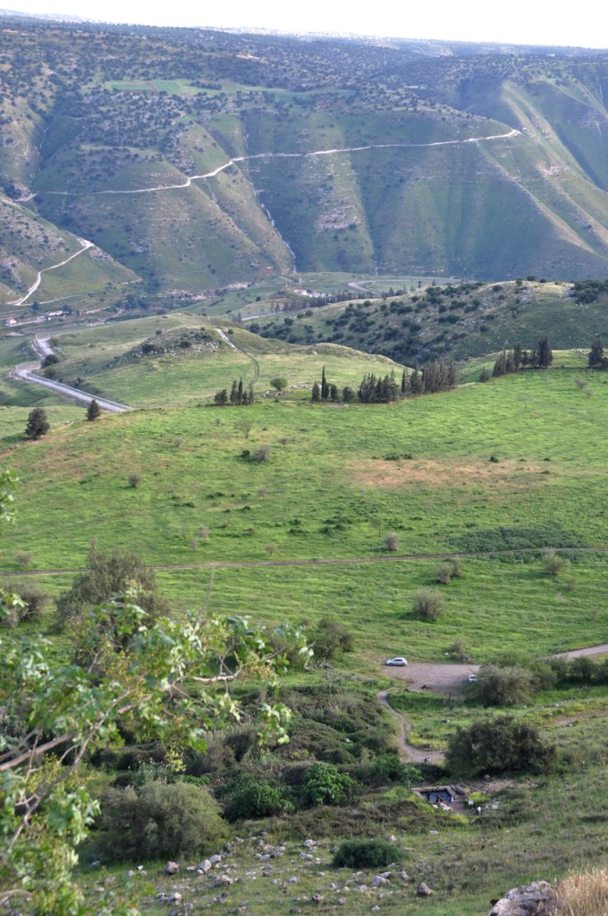 Golan view