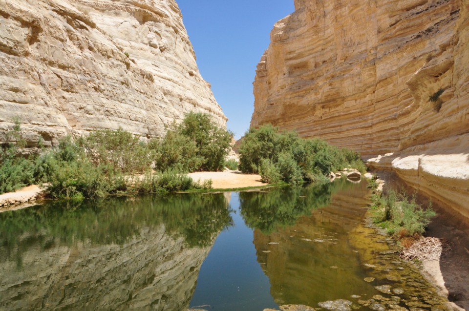 Ein Avdat reflection horz