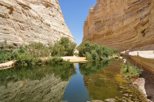 Ein Avdat reflection horz