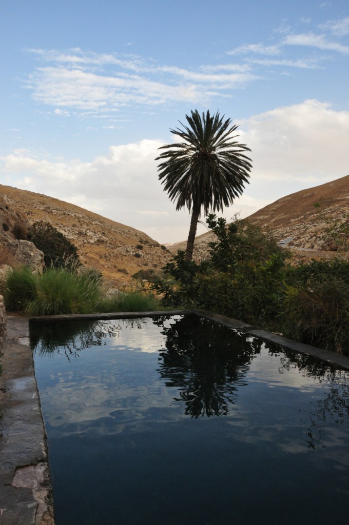 Tamat Pool