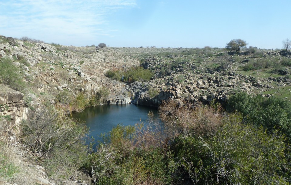 Nahal Zavitan on Golan