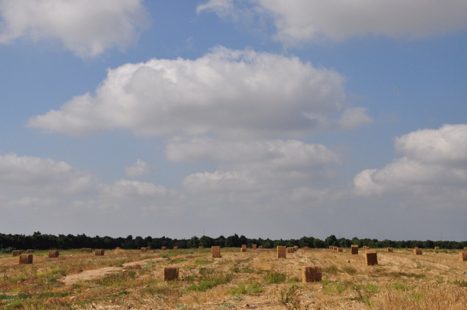 Galilee like Tuscany