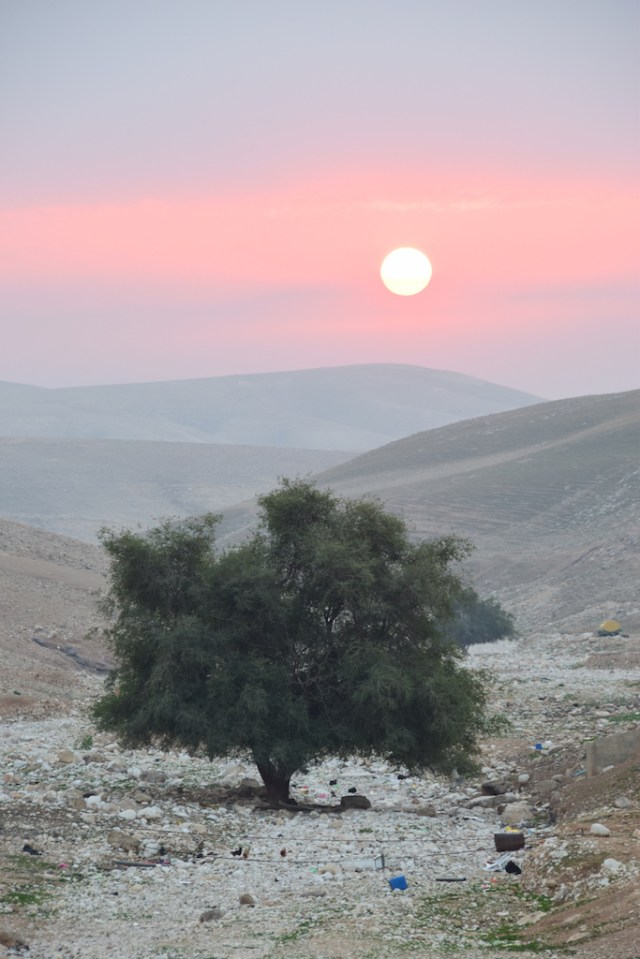 Sunrise Nahal Og