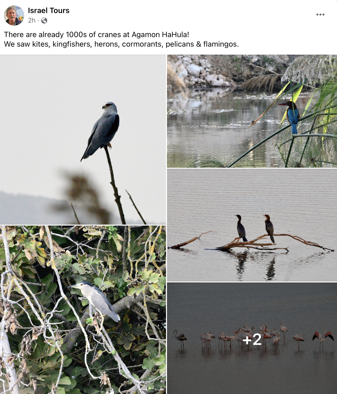 screen-shot-2022-10-27-at-7.38.42-am